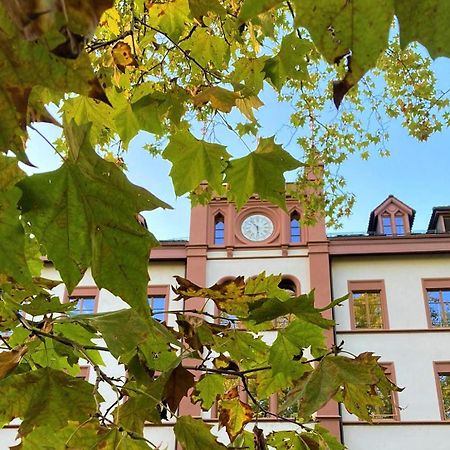 Odelya - Stadthotel Im Park Bázel Kültér fotó