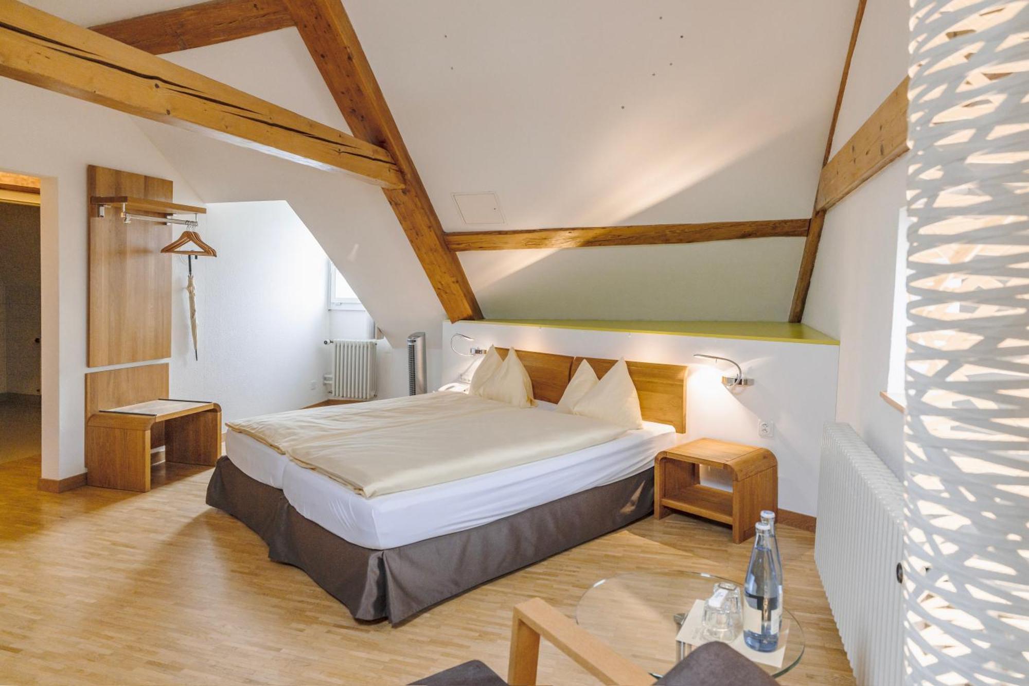 Odelya - Stadthotel Im Park Bázel Kültér fotó